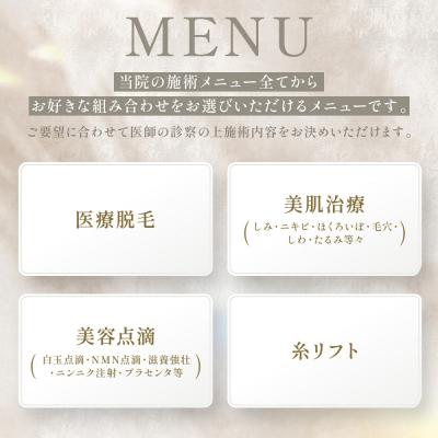ふるさと納税 名古屋市 美容医療 脱毛・美肌 選べる!施術10万円分 / まゆりなclinic名古屋栄 |  | 01