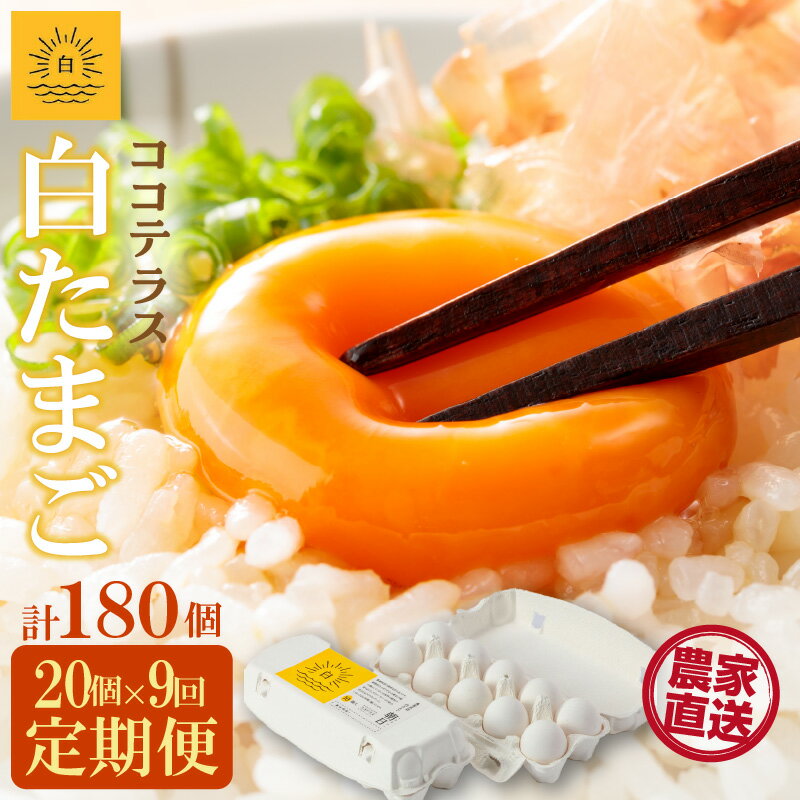 【ふるさと納税】【9ヵ月定期便】ココテラスの朝日（ 白たまご ）15個 + 5個保証【計20個】【 JGAP認証 】農家直送 新鮮 卵 純植物性飼料 飼料にこだわった 卵かけご飯 米たまご 大容量 卵 定期 送料無料