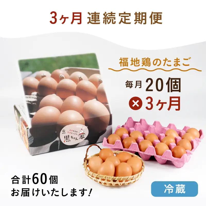 【3ヶ月連続お届け】 福井ブランド 「福地鶏」 の卵 20個 濃厚で甘くておいしい！  定期便 ／ 卵 たまご 鶏卵 生卵 有精卵 高級 高級卵 福地鶏 鶏 平飼い 美味しい こだわり 3ヶ月 定期便