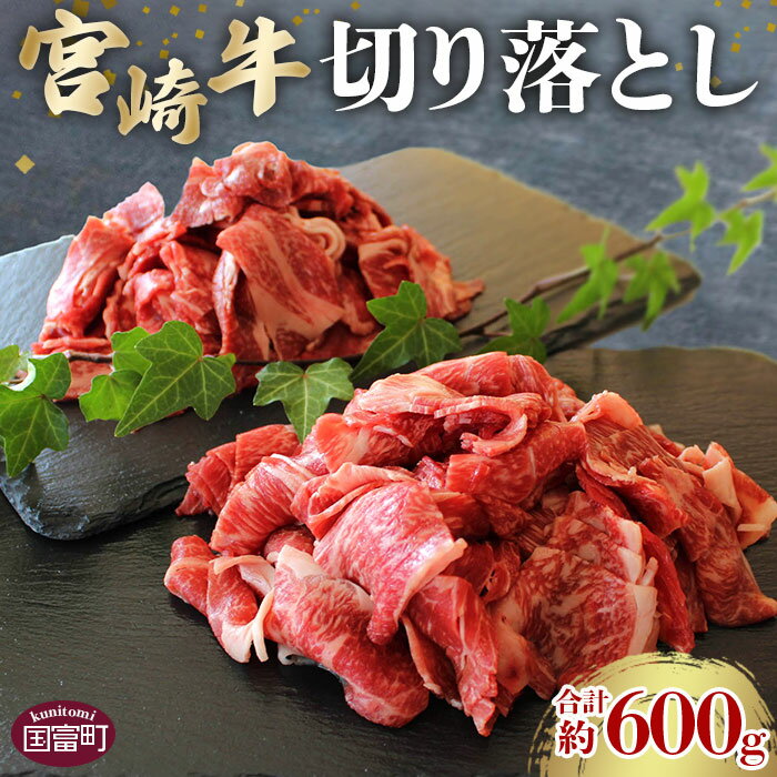 【ふるさと納税】＜宮崎牛切り落し 合計約600g (約300g×2パック)＞※入金確認後、2か月以内に順次出荷します。 牛肉 和牛 黒毛和牛 お肉 マルミヤストア宮崎 国富店 宮崎県 国富町 0505_sh【冷凍】