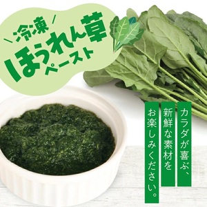 冷凍ほうれん草ペースト1.5kg(500g×3袋) 山形県遊佐産 冷凍便 ※離島発送不可 冷凍 ほうれん草 ほうれんそう ホウレンソウ 野菜 野菜ペースト 離乳食 介護食 お菓子作り 小分け ゆざ食彩