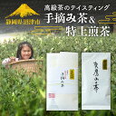 【ふるさと納税】 高級茶のテイスティング