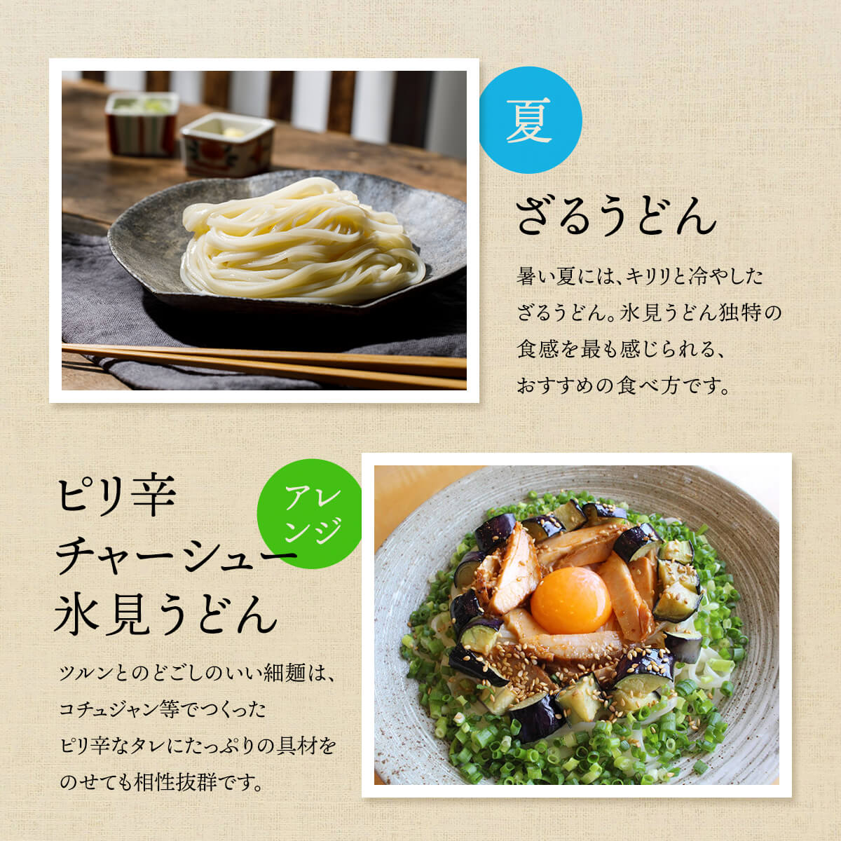 【3回隔月定期便】 海津屋　氷見うどんセット 乾麺 定期便 