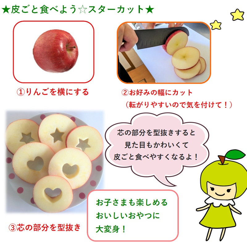 【2025年4月中旬発送】≪特選≫ 春の丸かじりサンふじ りんご 約5kg スマートフレッシュTM貯蔵 贈答用 青森県産