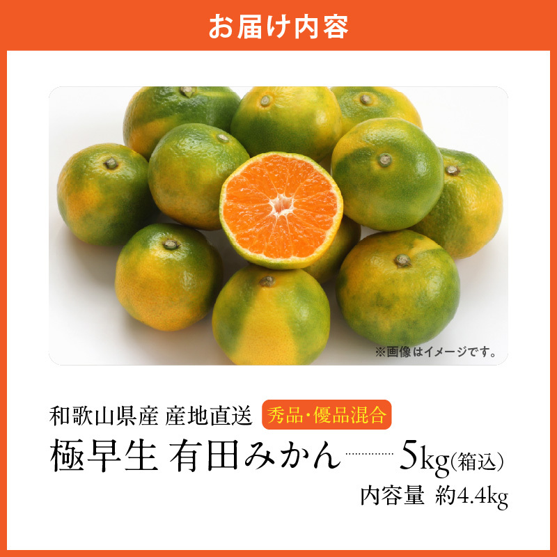 MK1072_【2025年先行予約】みかん 極早生 箱込 5kg ( 内容量4.4kg ) おまかせサイズ（S/M/L）秀品・優品 の混合 有田みかん 和歌山県産_イメージ5