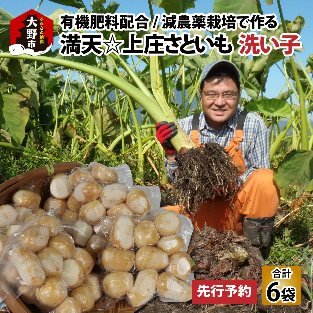 【ふるさと納税】【先行予約】満天☆上庄産さといもの「洗い子（335g×6袋）」 日本一の味をめざし、有機肥料配合、減農薬栽培の「独自栽培」で作る洗い子 【発送月が選べる11～4月】【里芋・上庄里芋・減農薬】 [A-005006]