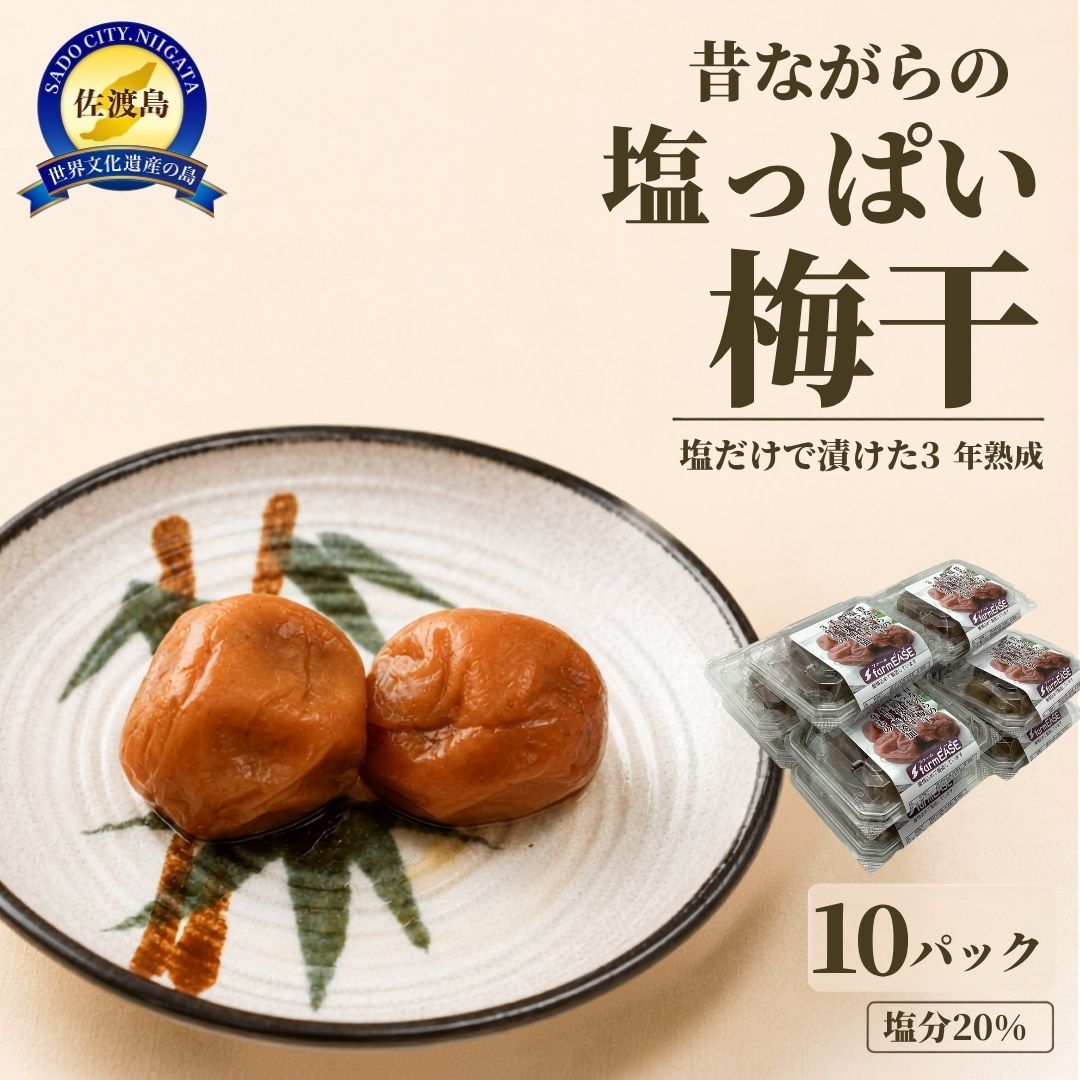 【ふるさと納税】梅干し 100g×10パック 計1kg 佐渡産 3年熟成 塩分20％ 完全無添加 塩だけ 昔ながら うめぼし ウメボシ 小分け 常温保存 長期保存 ご飯のお供 おにぎり お弁当 お茶漬け 保存食 お取り寄せ 人気 おすすめ 家庭用 自宅用 一人暮らし 新潟県 佐渡市