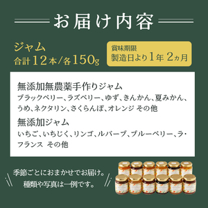 無添加無農薬手作りジャム12本 (a20-272)