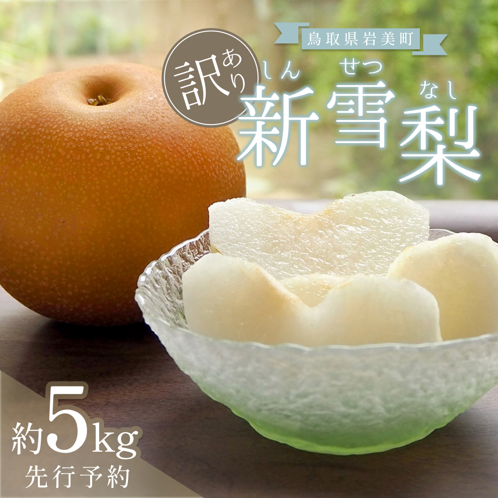 【先行予約】（訳あり）中野農園 梨 ”新雪梨” 5kg箱｜鳥取 岩美 梨 なし ナシ 赤梨 果物 フルーツ ※お届けは2026年12月以降【41046】