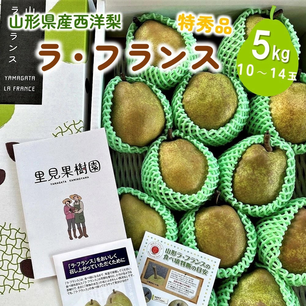 
                  西洋梨（ラフランス）５ｋｇ　１０～１４玉　特秀品　0079-2622
                
