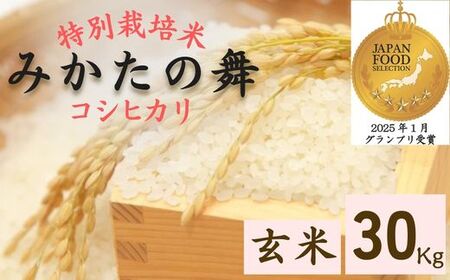 P17　玄米 30Kg コシヒカリ「 みかたの舞 」 特別栽培米 【 こしひかり コシヒカリ 特別栽培米 お米 米 玄米 白米 精米 ブランド米 30キロ 兵庫県産 兵庫県 ジャパンフードセレクション 最高賞 グランプリ 】