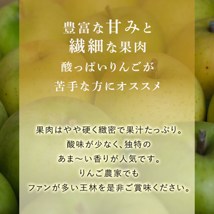 りんご 【1月発送】 糖度13度以上 贈答用 王林 約 5kg 【 弘前市産 青森りんご 】