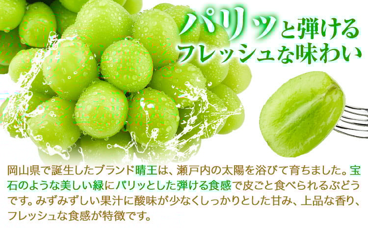 【2026年先行予約受付】シャインマスカット 岡山県産 シャインマスカット 晴王 1房 750g《2026年9月上旬-10月末頃出荷(土日祝除く)》 ハレノフルーツ マスカット 送料無料 岡山県 浅口