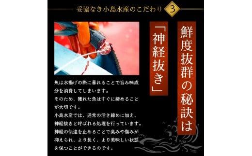 鯛 まるごと 2尾 （ 2.0kg〜2.5kg ) 産地直送 高知県 乙女鯛 小島水産 ブランド鯛 新鮮 魚 鮮魚 ブランド 尾頭付き 刺身 お刺身 鯛めし 鯛鍋 鯛しゃぶ パエリア 高知県 須崎市 