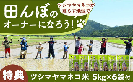 対馬 佐護 ツシマヤマネコ 米 田んぼオーナー1年券【ツシマヤマネコ米30kg付き】（対馬市）【一般社団法人MIT】 米作り体験 田植え 体験 稲刈り 離島 チケット 新米[WAP015]