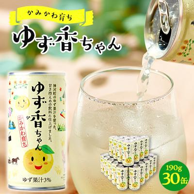 ふるさと納税 神河町 【かみかわ育ち】ゆず香ちゃん 190g×30缶