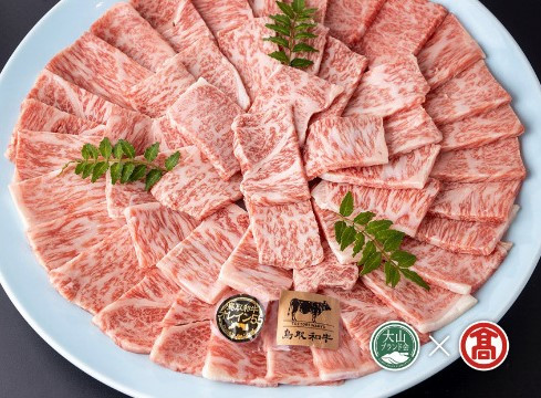 
                  ＜皆生菊乃家＞鳥取和牛　A4ランク以上　サーロイン焼肉用 800g（大山ブランド会）
                