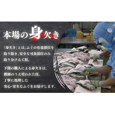 ふるさと納税 下関市 国産とらふぐ 刺身 セット 4~5人前 ふぐ松前付 冷凍 KA3011-x |  | 02