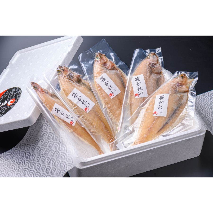 ＜蟹の匠 魚政＞笹カレイ「一夜干し」中サイズ(120g)× 5尾