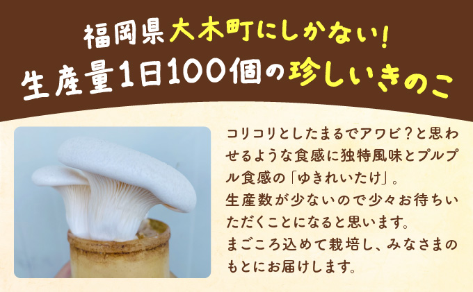 珍しいきのこ ゆきれいたけ AT19