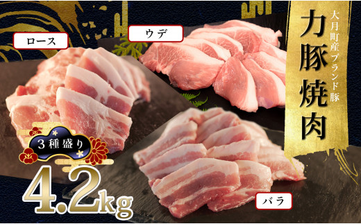 
【高知県 大月町産ブランド豚】力豚焼き肉 3種盛り4.2kg
