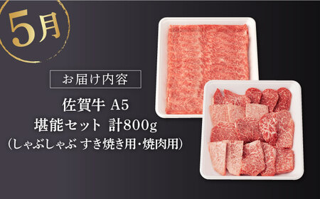 【先行予約】【3回定期便】佐賀牛 牛肉春の定期便極コース NAB103 定期便牛肉