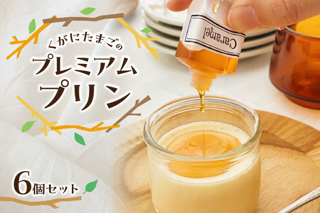 【 大阪喜安 】くがにたまごのプレミアムプリン・6個│ プリン 濃厚プリン なめらかプリン 高級プリン_OS186-0005
