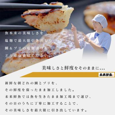 ふるさと納税 大月町 【定期便 12回】塩麹に漬け込んだタイ&ブリ |  | 02