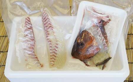 朝〆直送！愛南町産鯛さしみ用切り身（400g＋アラ付き）真鯛 朝〆 直送 新鮮 アラ 冷蔵 愛媛県 朝〆直送 皮引き 三枚おろし 兜 かぶと煮 国産 魚介 特産品 愛南町 魚介類 海産物 鮮魚 養殖 