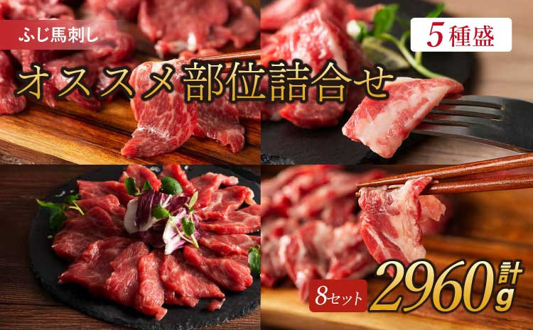 
フジチクふじ馬刺し専門店オススメ部位詰合せ 5種類 各8個 計約2960g ふじ馬刺し 馬刺し

