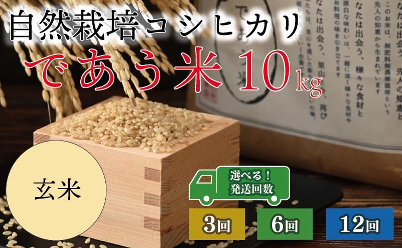 
            先行予約 米 定期便 玄米 10kg 3回 6回 12回 令和7年産 新米 こしひかり 選べる回数 自然栽培 栄養 豊富 数量限定 お米 こめ おこめ ご飯 ごはん R7 2025年産 こだわり おいしい 美味しい であう米 石川県 能登 羽咋
          