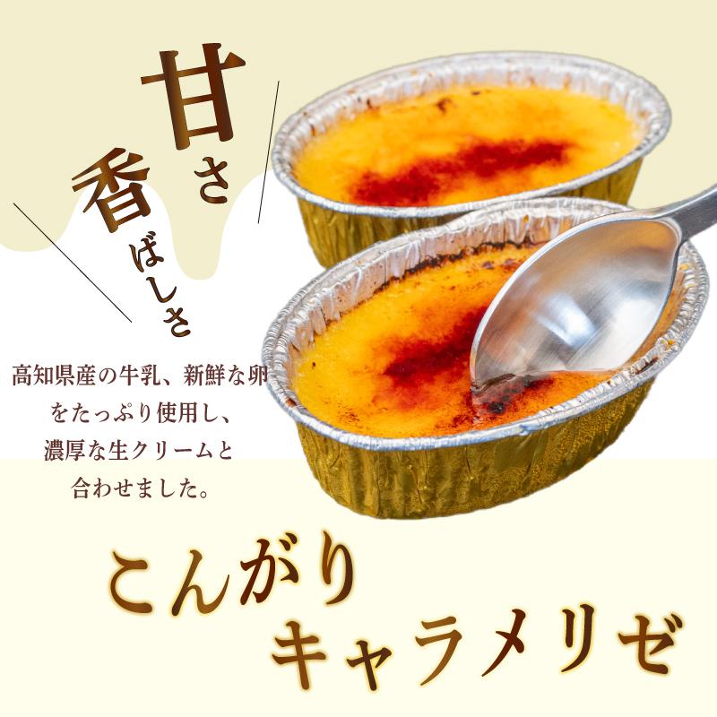 お菓子屋さんの お菓子 定期便 3か月 毎月 お届け ｜ お楽しみ 詰め合わせ セット スコーン ティラミス クリームブリュレ ブリュレ アイス ゼリー バスクチーズケーキ 杏仁豆腐 高知県 須崎市 