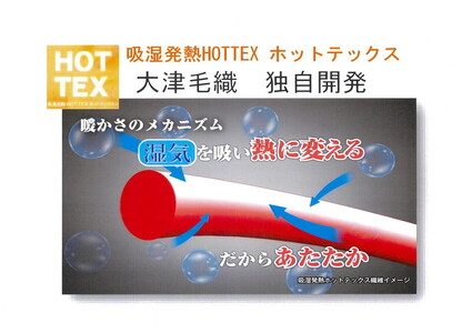 吸湿発熱ホットテックス® あったかカーペット 長方形 190×240cm 1枚 A-34922R