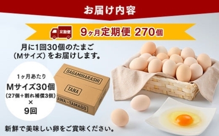 【9ヶ月定期便】【毎月後半発送】相模原市田名のおがわのたまご　ピンク卵 Mサイズ 30個(27個＋割れ補償3個)×9か月 | 卵 鶏卵 玉子 たまご 生卵 国産 濃厚 コク 旨味 旨み
