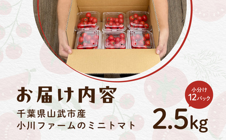 【先行予約】【発送期間は5月中旬～7月中旬、9月上旬～11月下旬】新鮮でフルーティーな小川ファームのミニトマト2.5kg(12パック入り)