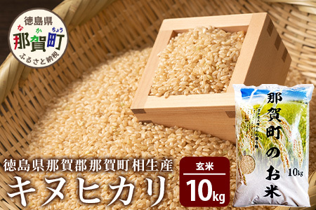 那賀町相生産 キヌヒカリ玄米10kg【徳島 那賀 国産 徳島県産 こめ おこめ 米 お米 ごはん ご飯 げんまい 玄米 キヌヒカリ 10kg 和食 おにぎり お弁当 食べて応援 ギフト プレゼント 玄米 産地直送】YS-5-4