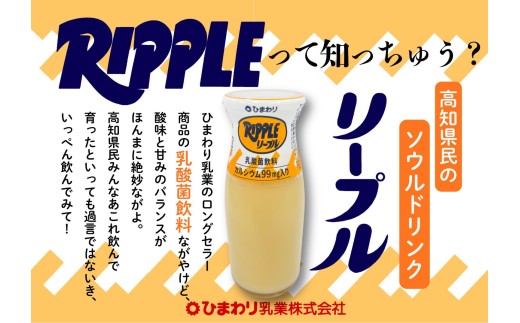 リープル 1,000ml × 4本 ジュース 乳酸菌飲料 ジュース ソウルドリンク ロングセラー ご当地 飲料 カルシウム ひまわり乳業 高知県 南国市