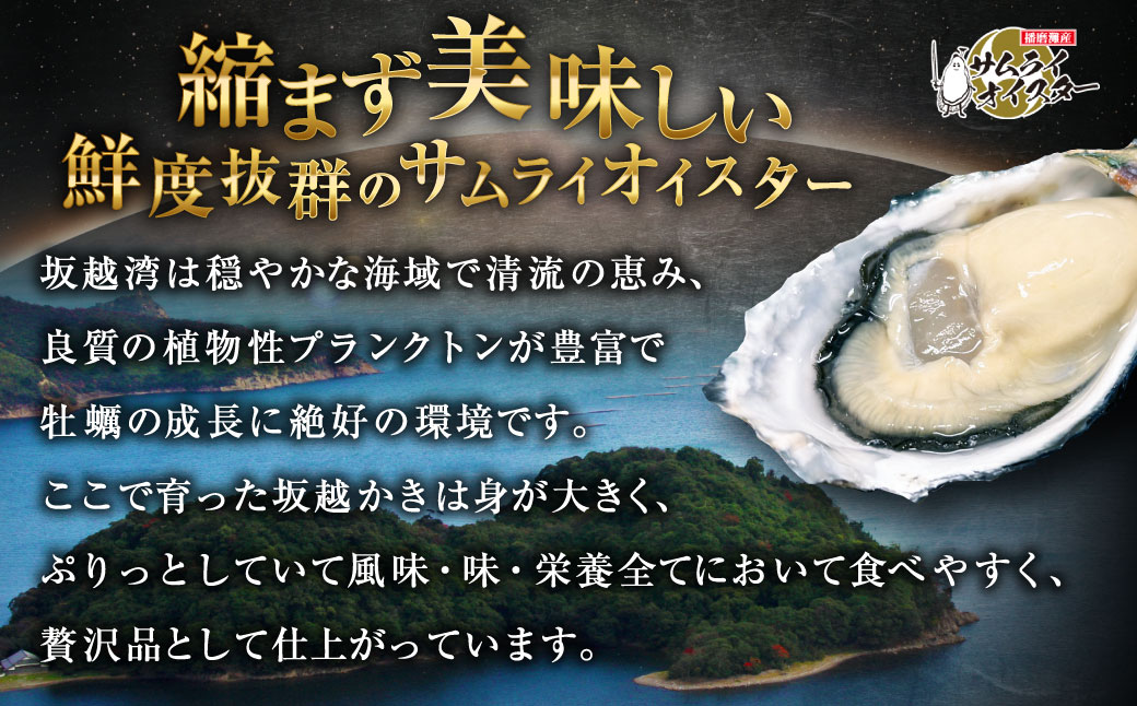 坂越かき 殻付き 22個 【ナイフなし】