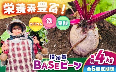 【全6回定期便】横須賀BASEビーツ 4kg（1kg×4袋）【ゆり子ファーム】[AKCR005]