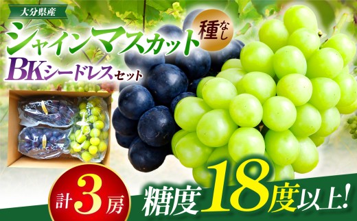 【先行予約】シャインマスカット (1房) BKシードレス (2房) 約1.8kg | フルーツ 果物 くだもの ぶどう ブドウ 葡萄 シャインマスカット マスカット 巨峰 種無し 食べ比べ 産地直送 大分県 中津市