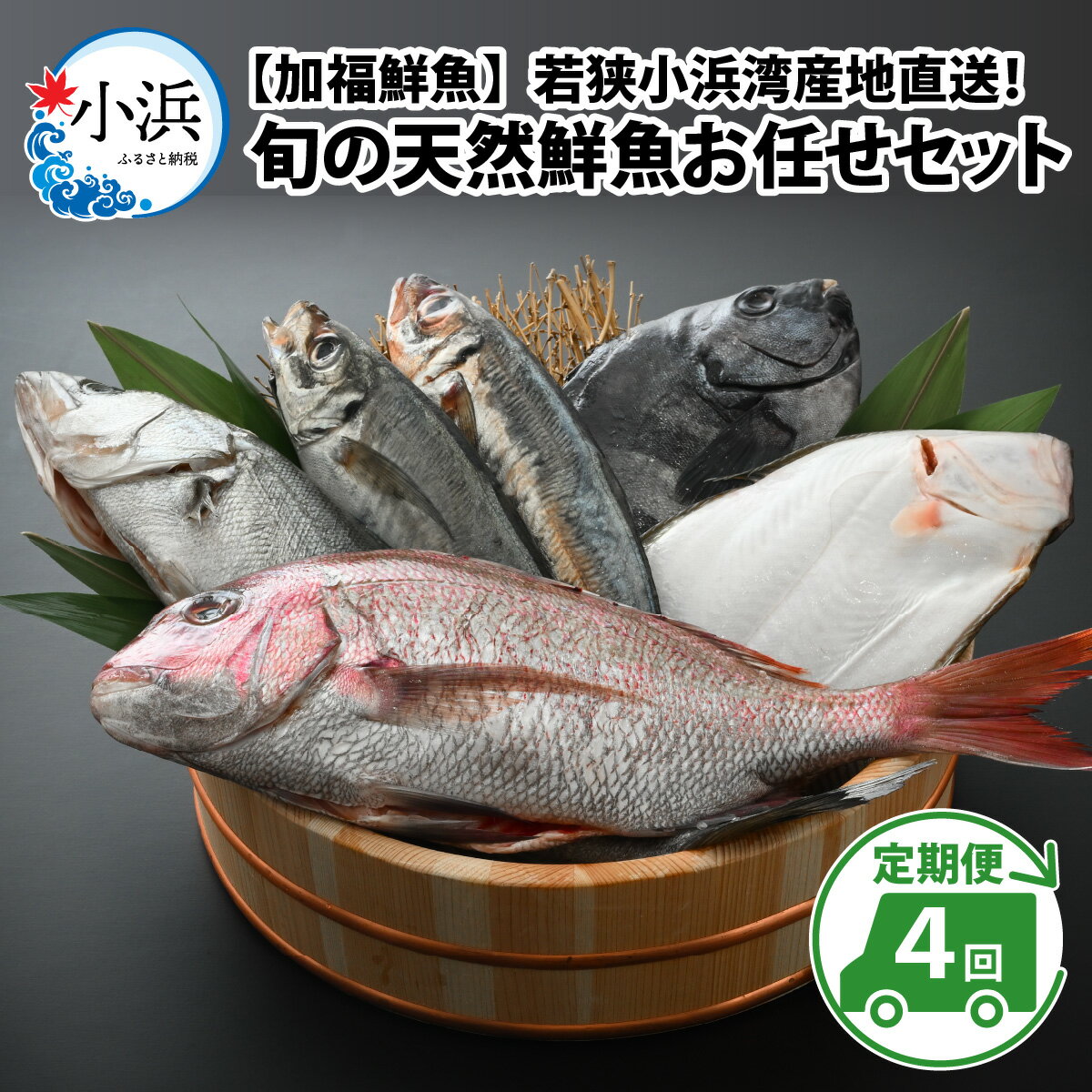 【ふるさと納税】『定期便』【加福鮮魚】「若狭小浜港産地直送」 旬の天然鮮魚お任せセット！ 全4回(3ヶ月毎発送)? 地魚 下処理済み 刺身 煮魚 焼き魚 旬 タイ アジ 【配送不可地域：北海道・沖縄・離島】 [BFBC015]