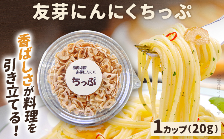 
            友芽にんにくちっぷ 友芽にんにく にんにく ガーリック にんにくスライス にんにくチップ ガーリックスライス 調味料トッピング サラダ パスタ ラーメン カレー 炒め物 肉 福岡県 福岡 九州 グルメ お取り寄せ メール便（ポスト投函）
          