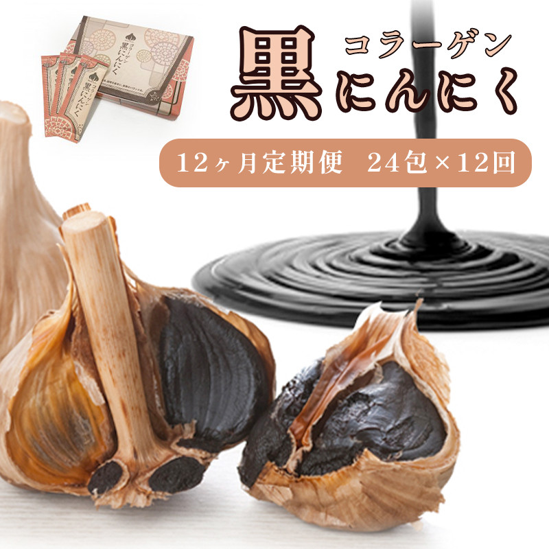 
【6回定期便】コラーゲン 黒にんにく 24包×6回 6ヶ月 ペースト 大蒜 舞鶴産黒ニンニク サプリ 熟成黒にんにく ニンニク ペースト状 食品 健康 元気
