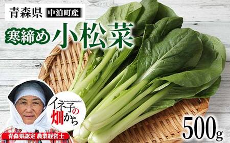 寒締め小松菜 約500g 【イネ子の畑から】 新鮮 産地直送 サラダ おひたし おみそしる 旬 野菜 やさい こまつな  F6N-282
