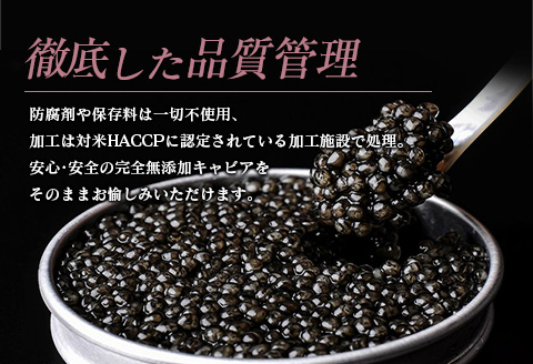 ≪数量限定≫1983 J.CAVIAR バエリ クラシック(20g)　キャビア　魚　魚介　国産_G52-22