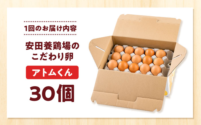 【全6回定期便】安田養鶏場の卵 アトムくん 30個入り 横須賀市 産地直送 たまご 黄身 濃厚 卵 玉子 タマゴ 鶏卵  【安田養鶏場】 [AKHN010]