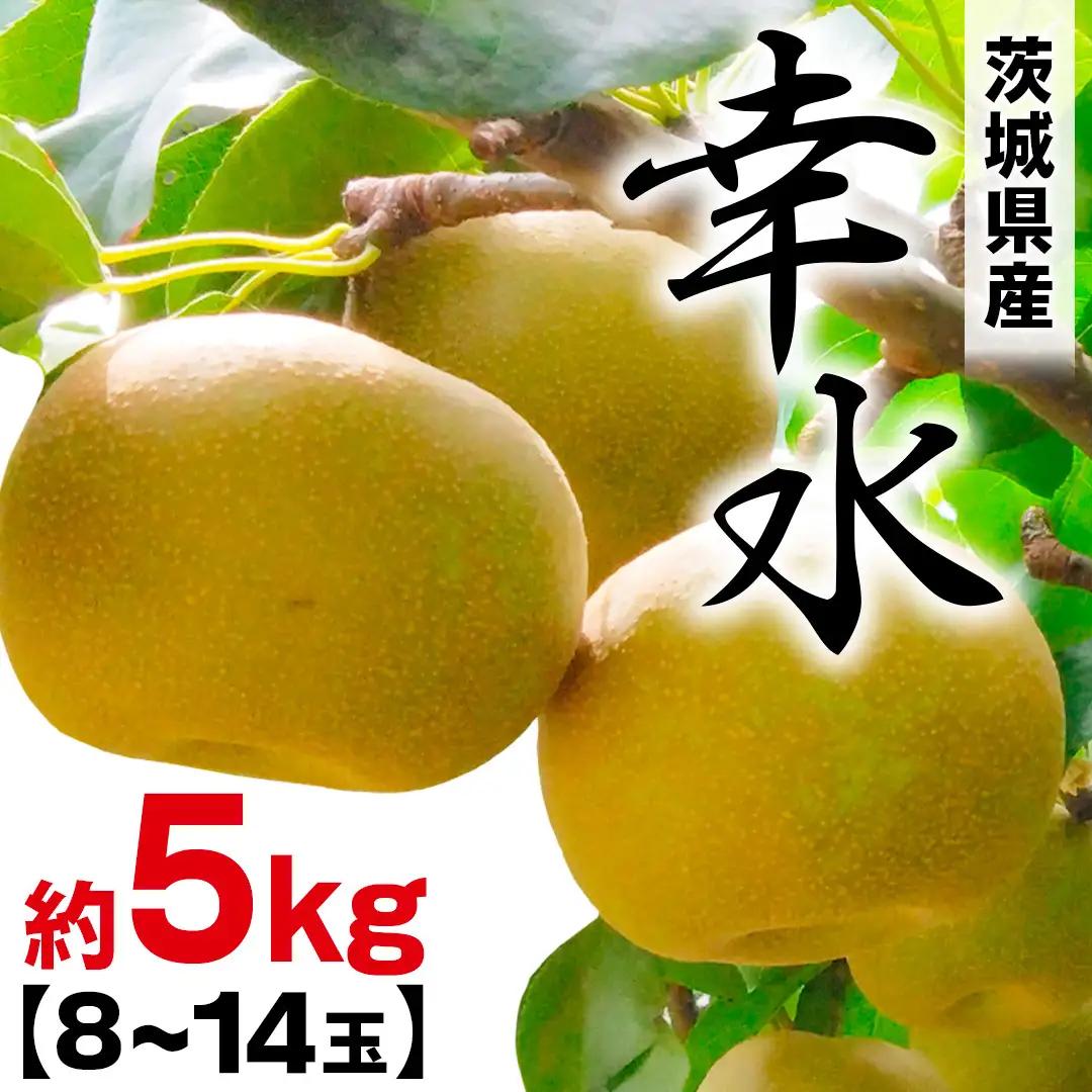 幸水 約 5kg （8～14玉） [BQ019sa]	
