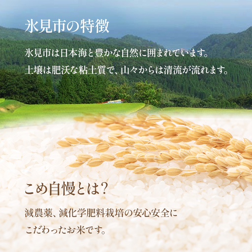 【玄米】令和7年産富山県産コシヒカリ《こめ自慢》30kg  | 富山 氷見 こしひかり 30kg 特別栽培米 玄米 特別栽培米