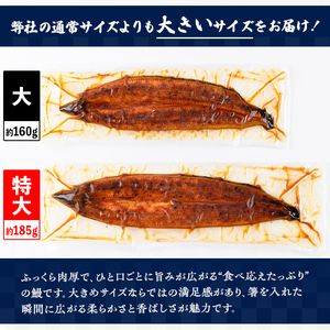 【C57006】特大うなぎ蒲焼(有頭)(5尾・計925g以上、タレ、山椒付) 鹿児島 国産 九州産 大隅産 鰻 うなぎ ウナギ 蒲焼き うな重 うな丼 ひつまぶし 丑の日 土用の丑の日 化粧箱 贈答 