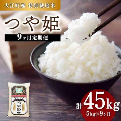 ふるさと納税 大江町  《9ヶ月定期便》大江町産 つや姫 5kg×9ヶ月(計45kg)【特別栽培米】 001-T31